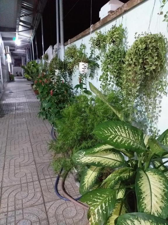 Hotel Nha Nghi Nguyen Anh Long Hai Zewnętrze zdjęcie